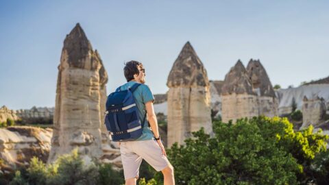 Red or Green Tour. Which is better?